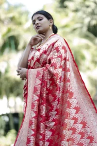 Red Katan Silk Handwoven Banarasi Saree