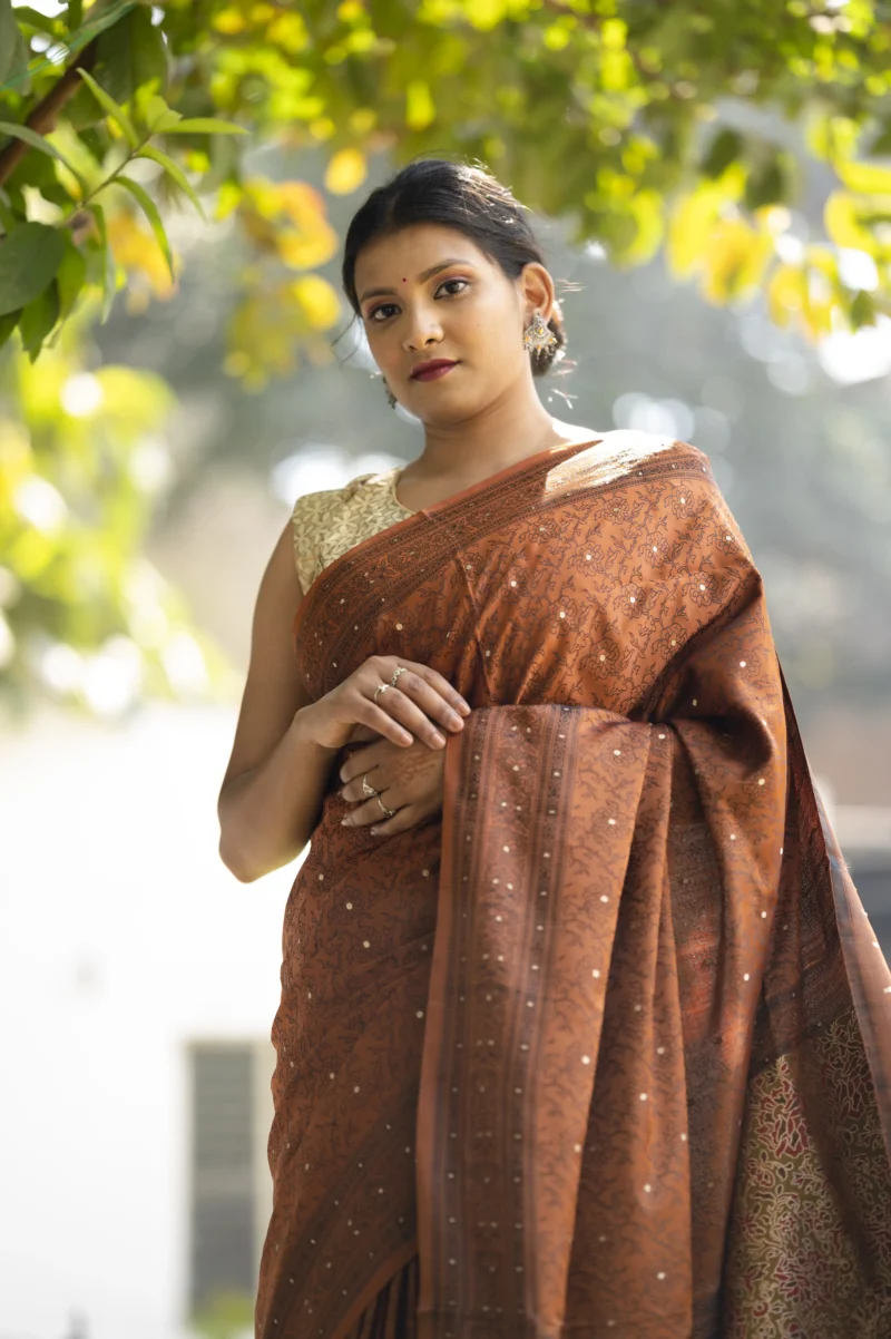 Brown Katan silk Tanchoi Banarasi Saree