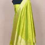 Pista Green Handwoven Banarasi suit