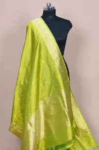 Pista Green Handwoven Banarasi suit